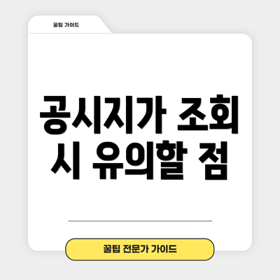 공시지가 조회 시 유의할 점