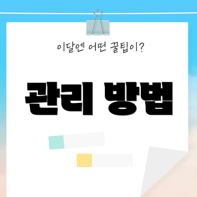관리 방법