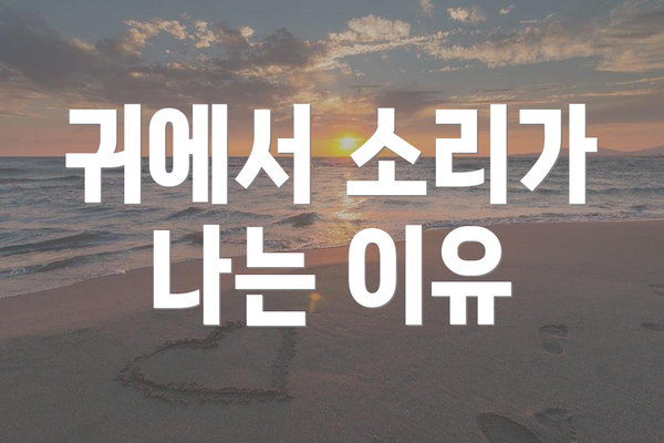귀에서 소리가 나는 이유