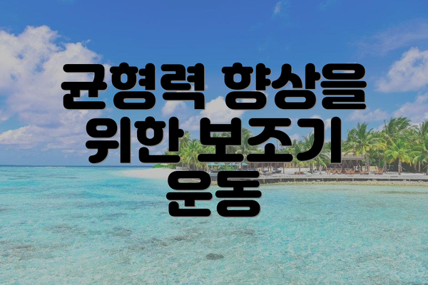 균형력 향상을 위한 보조기 운동