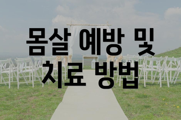 몸살 예방 및 치료 방법