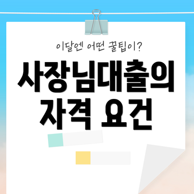 사장님대출의 자격 요건