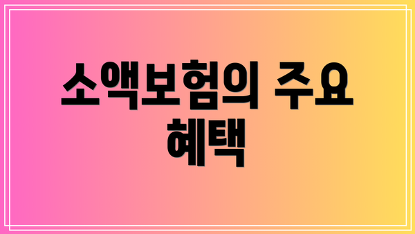 소액보험의 주요 혜택