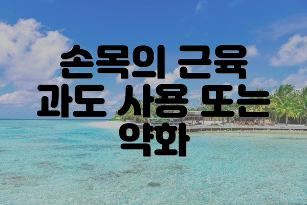 손목의 근육 과도 사용 또는 약화