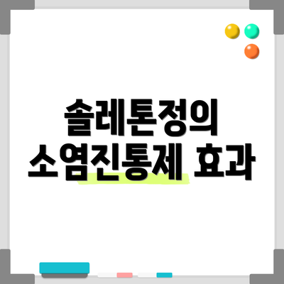 솔레톤정의 소염진통제 효과