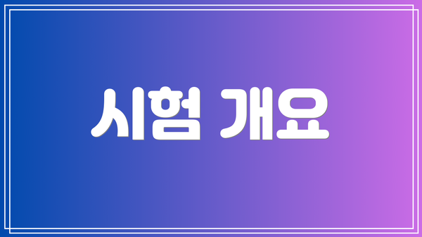 시험 개요