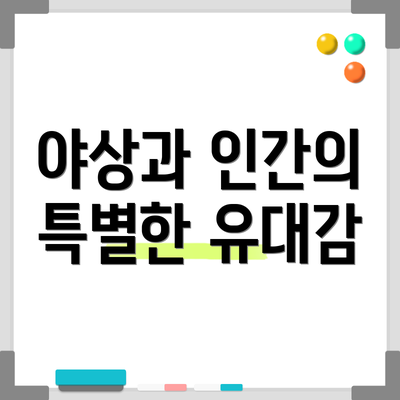 야상과 인간의 특별한 유대감