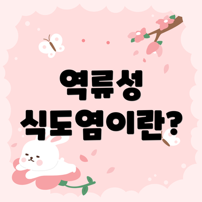역류성 식도염이란?