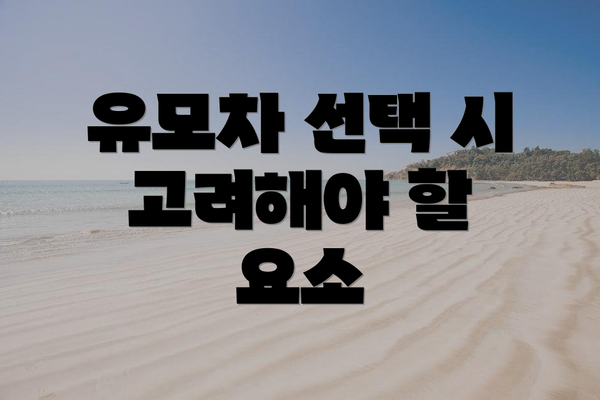 유모차 선택 시 고려해야 할 요소