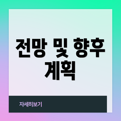 전망 및 향후 계획