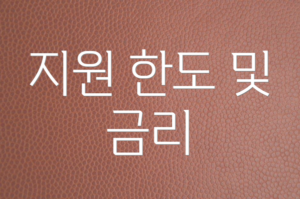 지원 한도 및 금리
