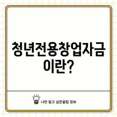 청년전용창업자금이란?