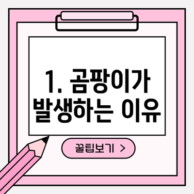 1. 곰팡이가 발생하는 이유