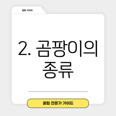 2. 곰팡이의 종류