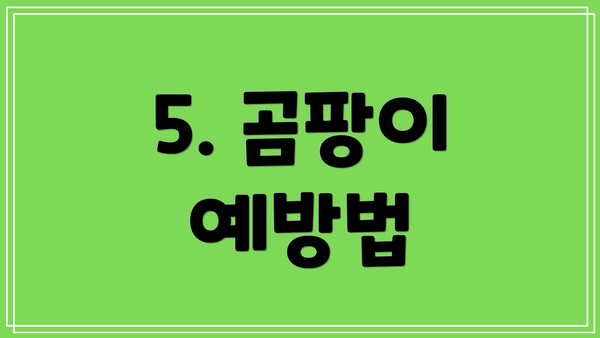 5. 곰팡이 예방법