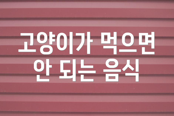 고양이가 먹으면 안 되는 음식