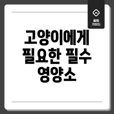 고양이에게 필요한 필수 영양소