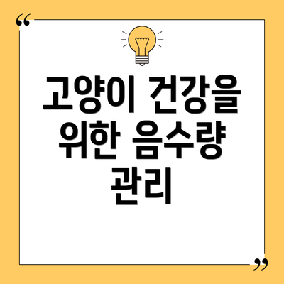 고양이 건강을 위한 음수량 관리