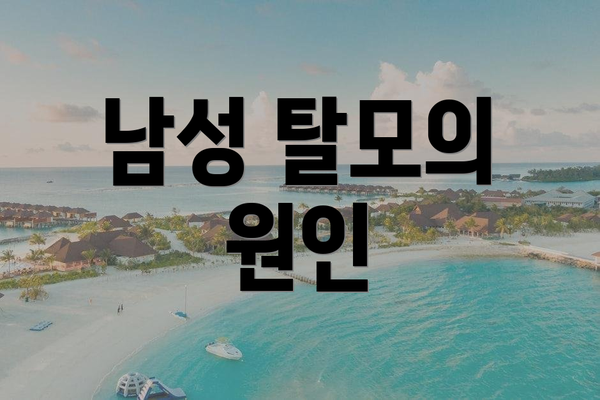 남성 탈모의 원인