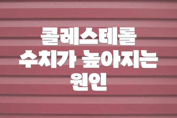 콜레스테롤 수치가 높아지는 원인