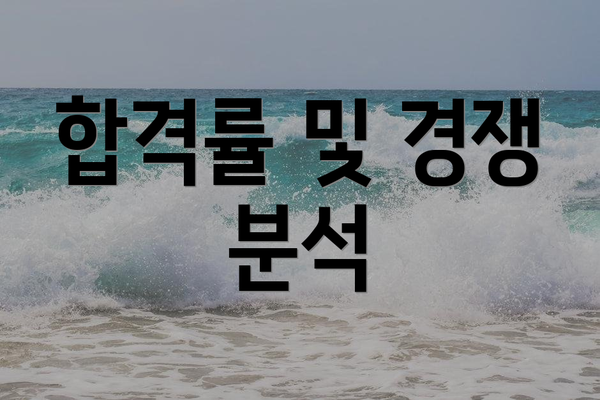 합격률 및 경쟁 분석