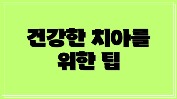건강한 치아를 위한 팁