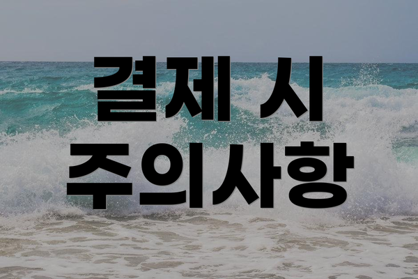 결제 시 주의사항