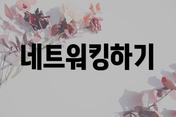 네트워킹하기