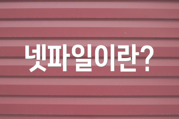 넷파일이란?