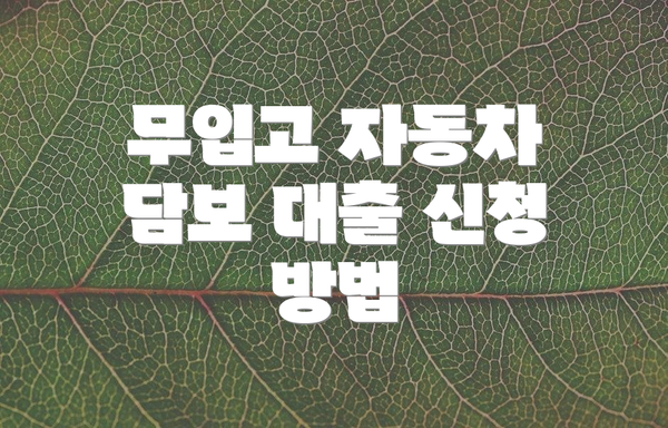 무입고 자동차 담보 대출 신청 방법
