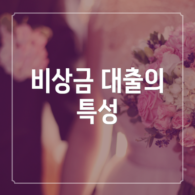 비상금 대출의 특성