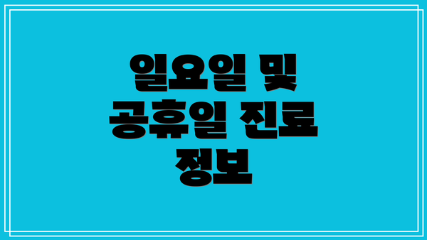 일요일 및 공휴일 진료 정보