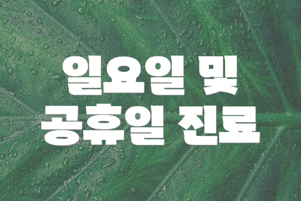 일요일 및 공휴일 진료