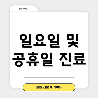 일요일 및 공휴일 진료