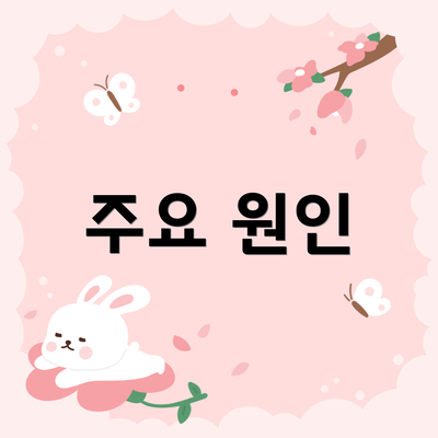 주요 원인