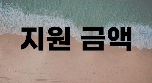 지원 금액