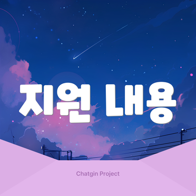 지원 내용