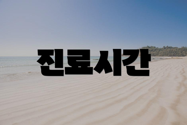 진료시간