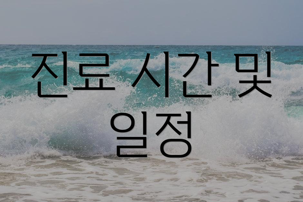 진료 시간 및 일정