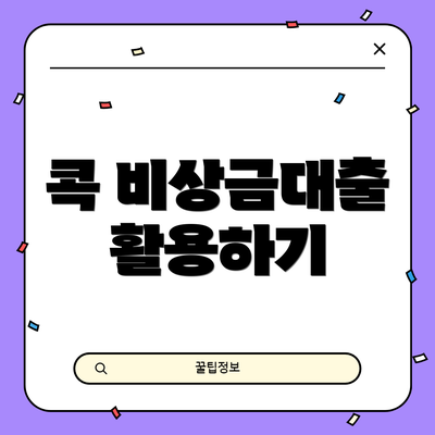 콕 비상금대출 활용하기