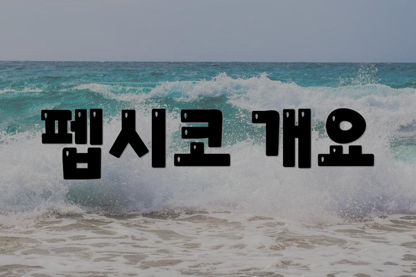 펩시코 개요