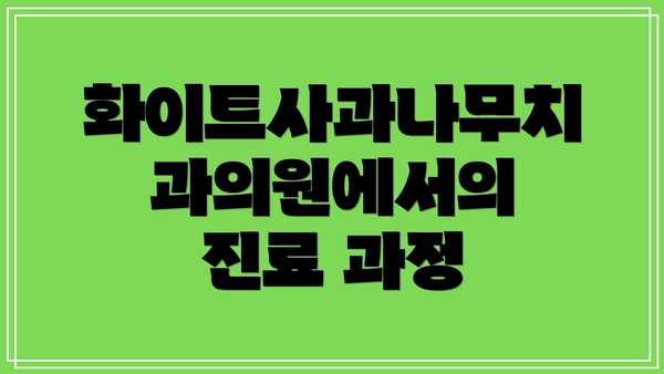 화이트사과나무치과의원에서의 진료 과정