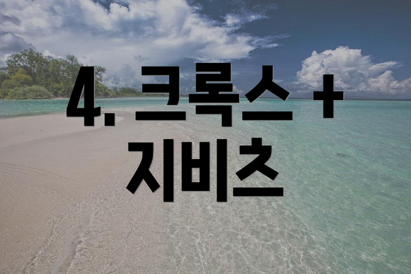 4. 크록스 + 지비츠