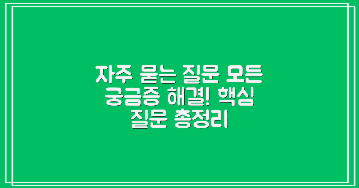 자주 묻는 질문