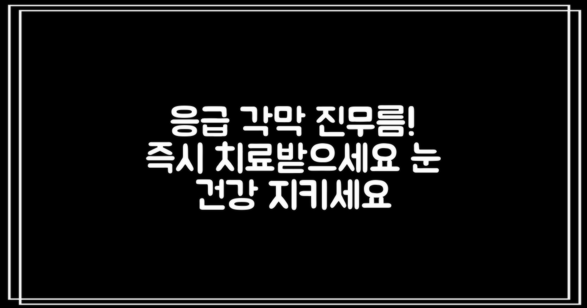 응급 각막진무름, 바로 치료받으세요