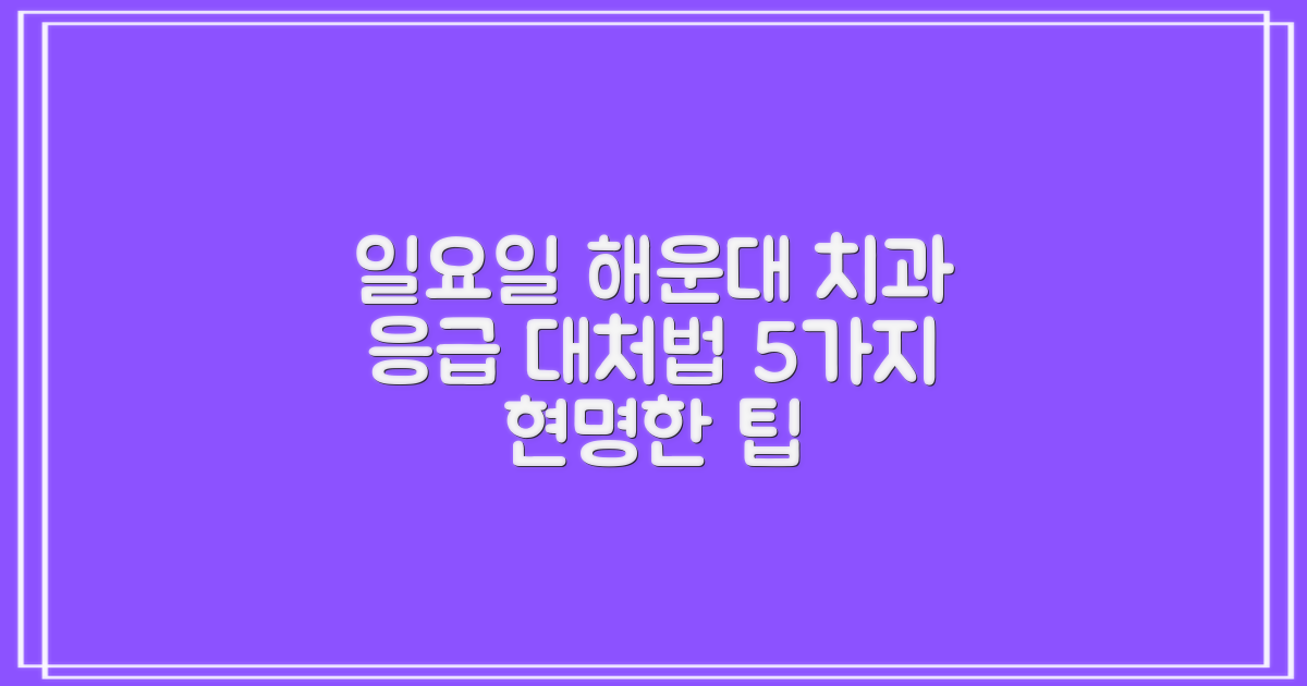 일요일 해운대 치과 진료, 응급 상황 시 현명하게 대처하는 5가지 방법